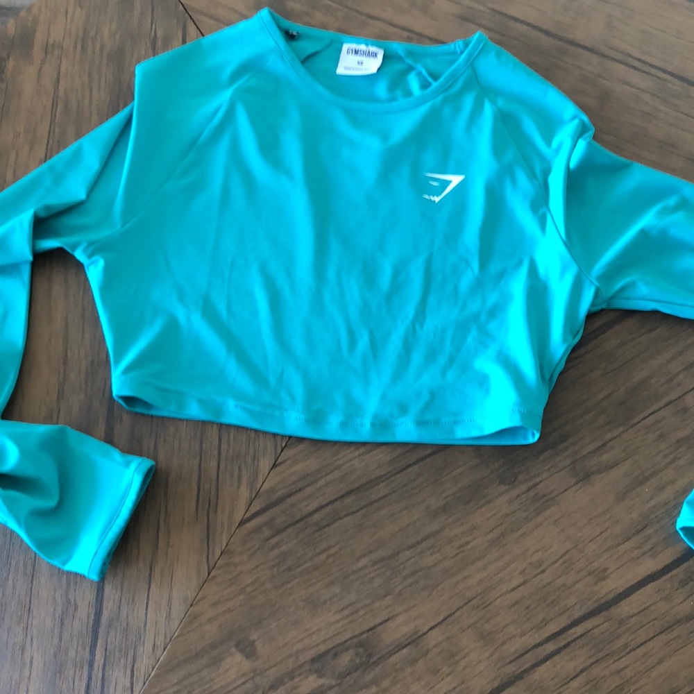 Long sleeve crop top